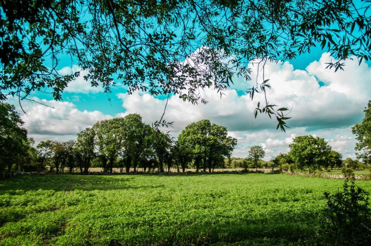 Corrib View Farmhouse Galway Exterior photo